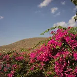 Prázdninový dům Soleil Adamantas (Milos)